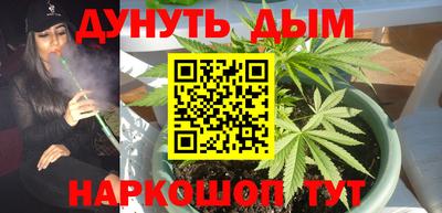 сатива Тулун