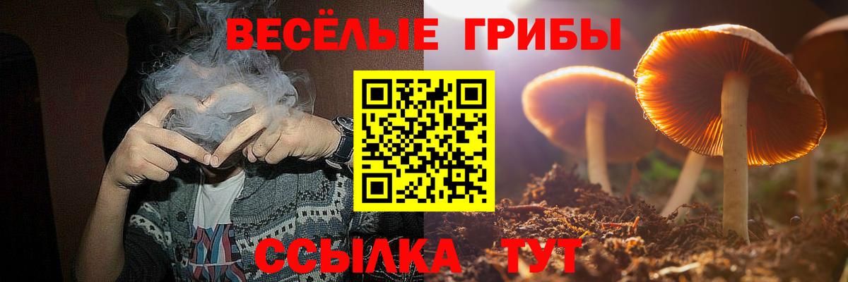 Псилоцибиновые грибы MAGIC MUSHROOMS Орск