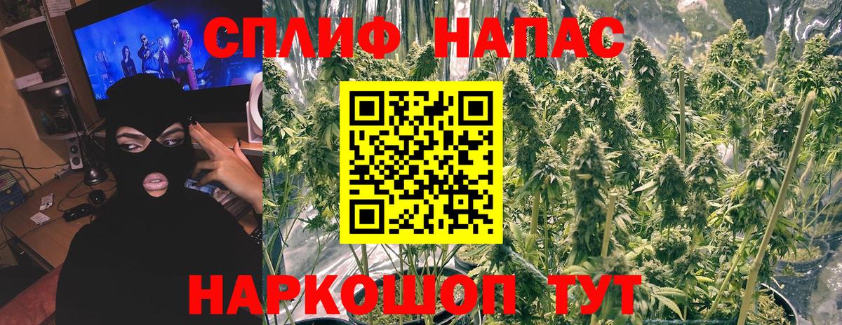 Шишки марихуана сатива  Конопля AK-47  Орск  Шишки марихуана Amnesia  Вход с VPN 